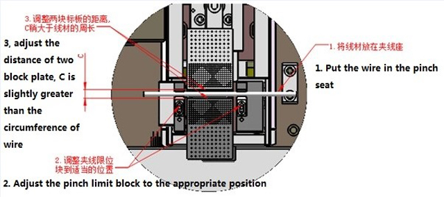 svingete illustation.jpg